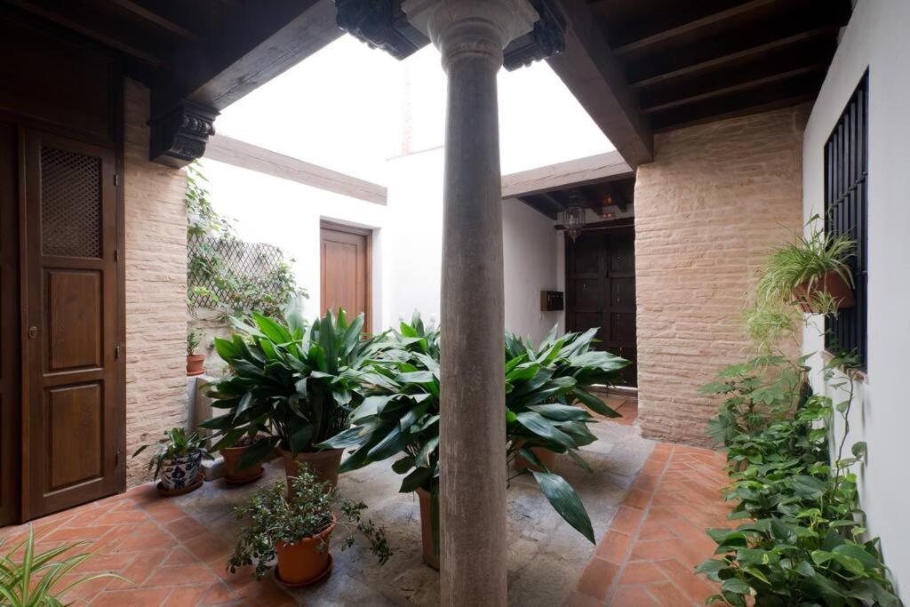 Central, Near The Alhambra, Quiet And Autentic! กรานาดา ภายนอก รูปภาพ